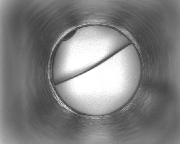 X0000051920904200507222131