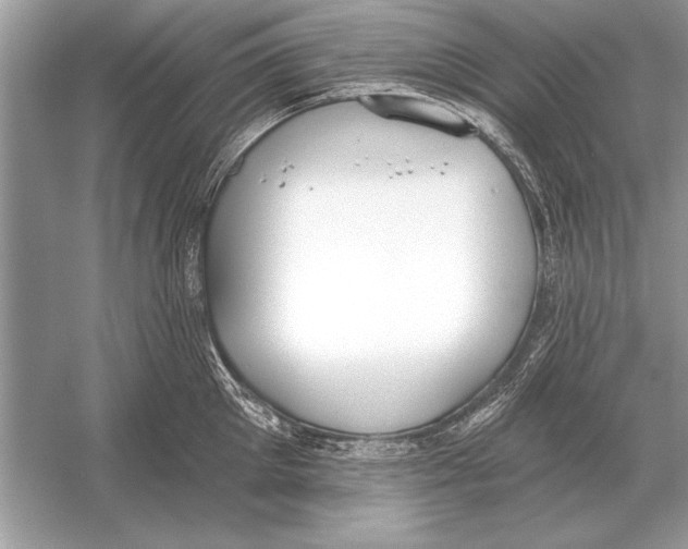 X0000051920905200507222131