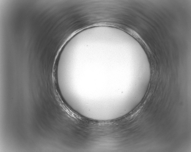 X0000051920908200507222131