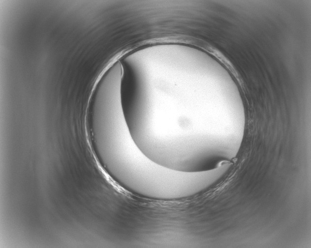 X0000051920909200507222131