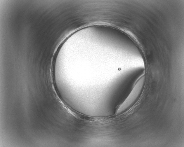 X0000051920910200507222131