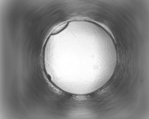 X0000051920911200507222131