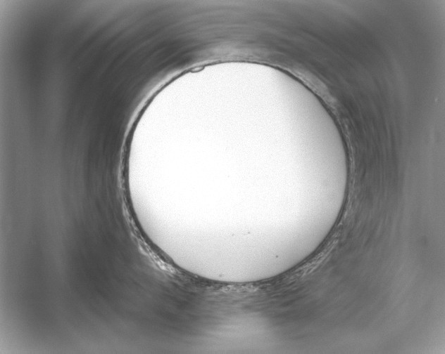 X0000051920912200507222131