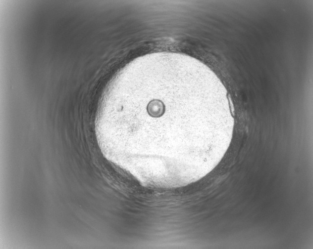 X0000051920913200507222130