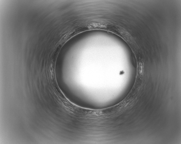 X0000051920915200507222130