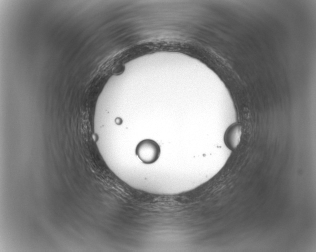 X0000051920918200507222130