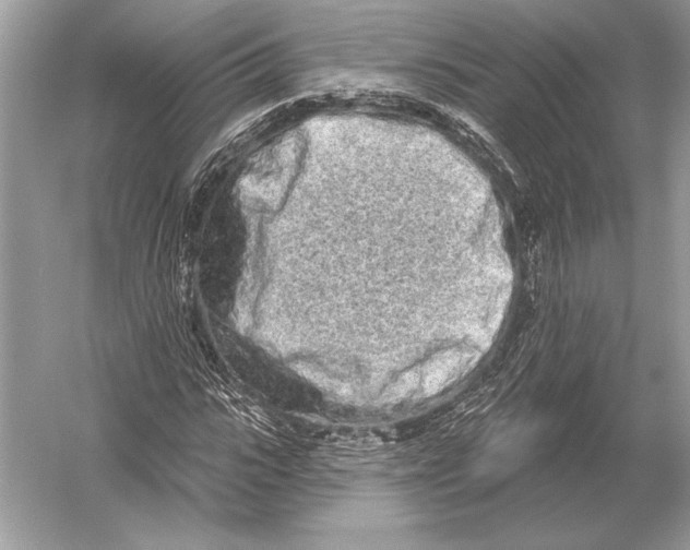 X0000051920919200507222130