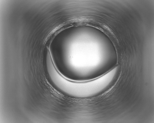 X0000051920922200507222130