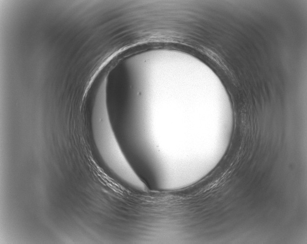 X0000051920926200507222130