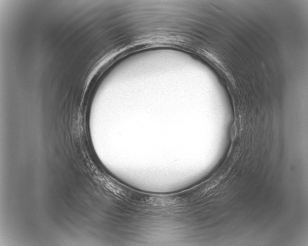 X0000051920928200507222130