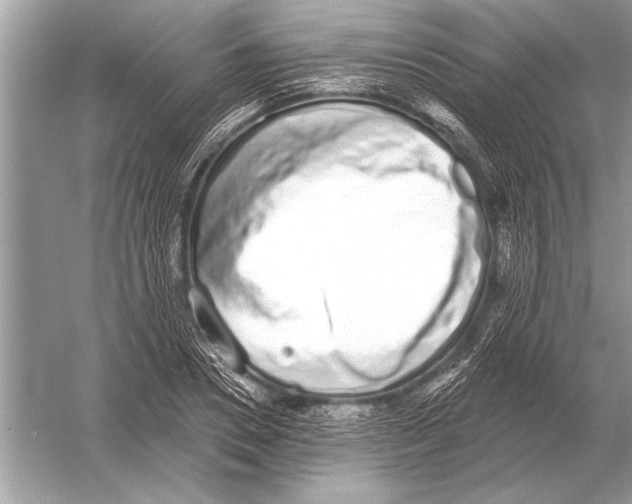 X0000051920930200507222130