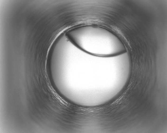 X0000051920932200507222130