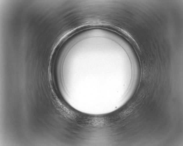 X0000051920935200507222130