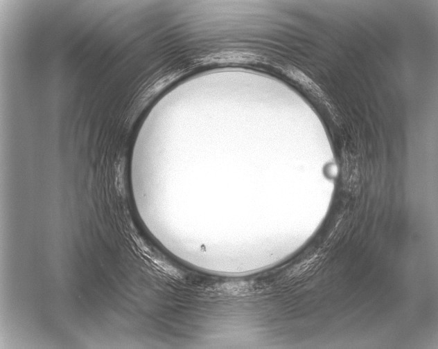 X0000051920937200507222131