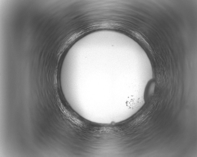 X0000051920938200507222131