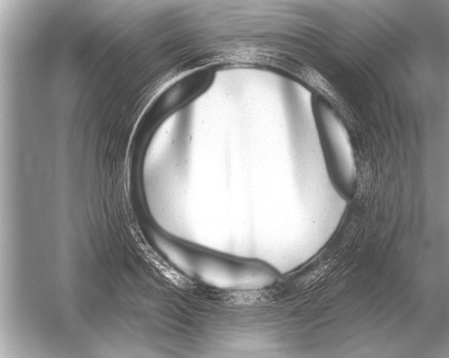 X0000051920940200507222131