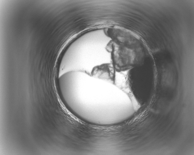 X0000051920941200507222131