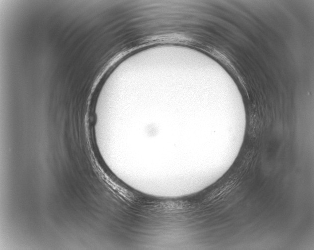 X0000051920947200507222131