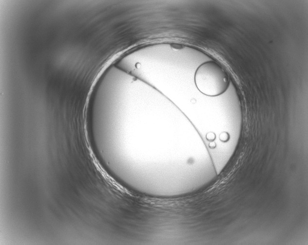 X0000051920949200507222131