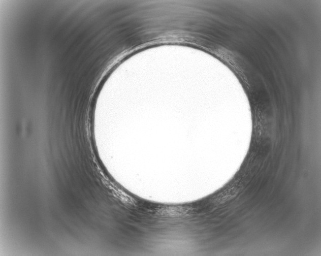 X0000051920950200507222131