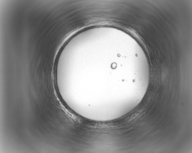 X0000051920951200507222131