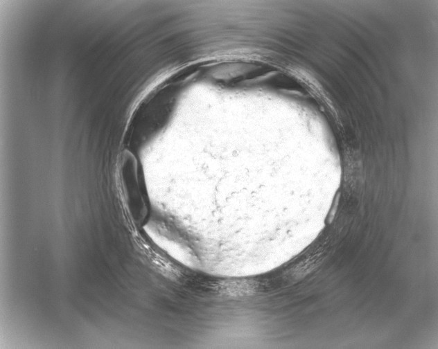 X0000051920952200507222131