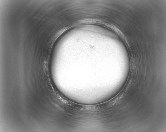 X0000051920953200507222131