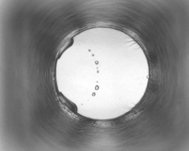 X0000051920954200507222131