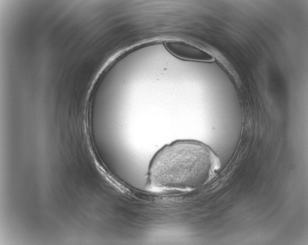 X0000051920958200507222131