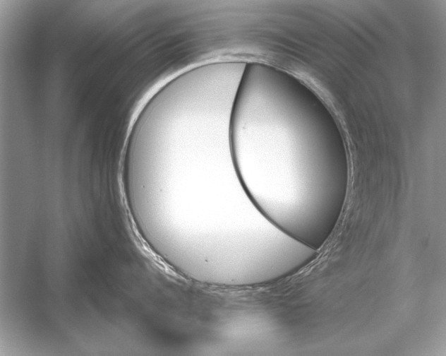 X0000051920960200507222131