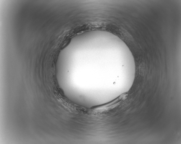 X0000051920961200507222130