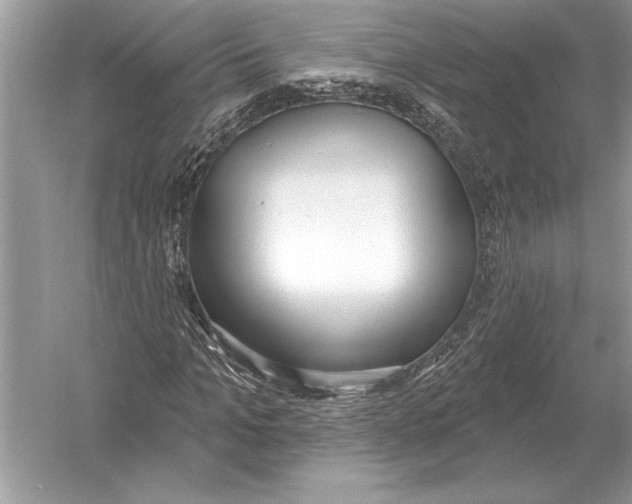 X0000051920965200507222130