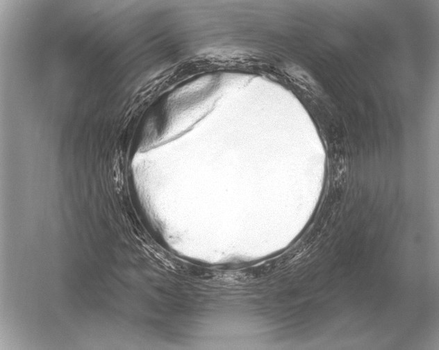 X0000051920966200507222130