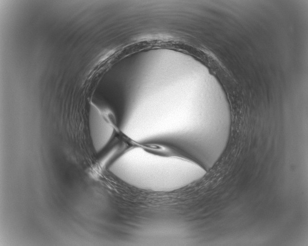 X0000051920967200507222130