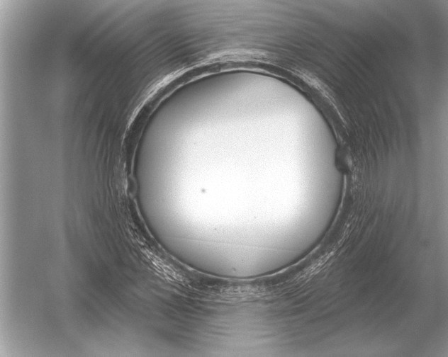 X0000051920973200507222130