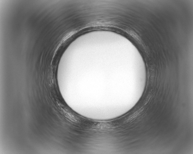 X0000051920974200507222130