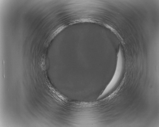 X0000051920977200507222130