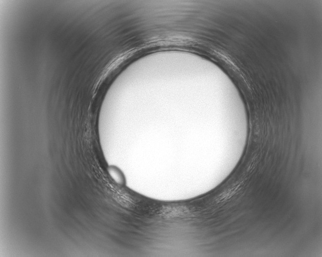 X0000051920978200507222130