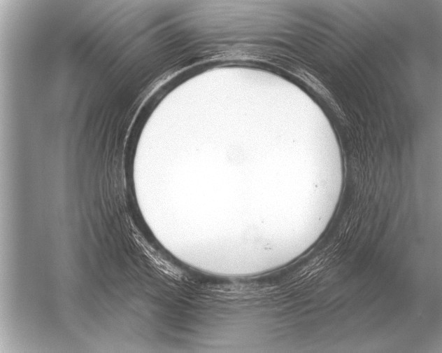 X0000051920980200507222130