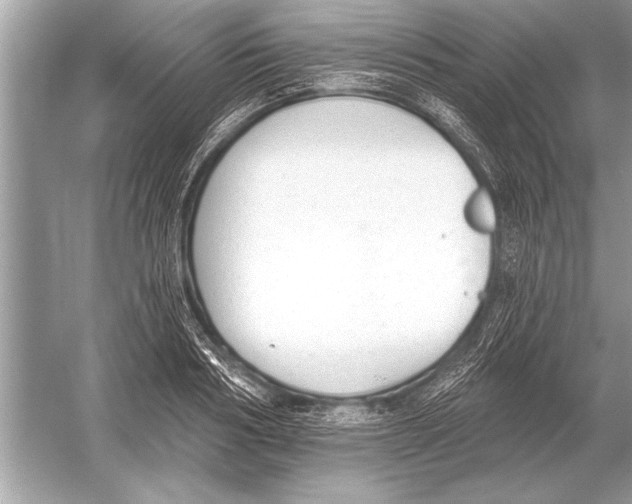 X0000051920986200507222130