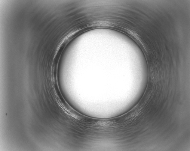 X0000051920987200507222130