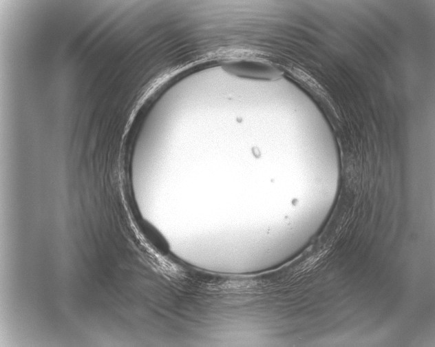 X0000051920989200507222130