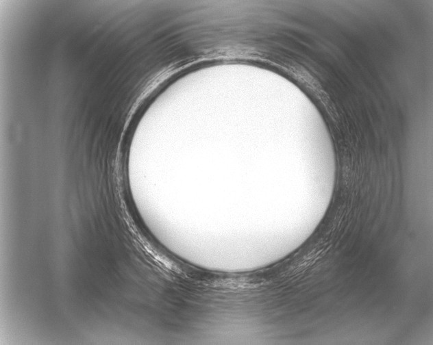 X0000051920990200507222130