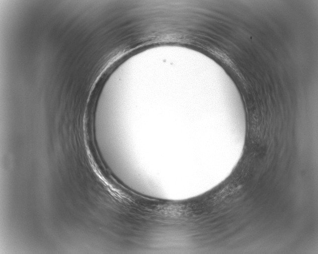 X0000051920991200507222130