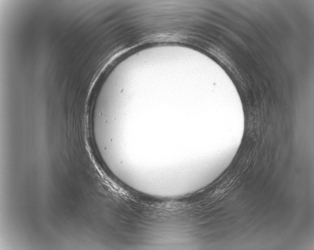 X0000051920992200507222130