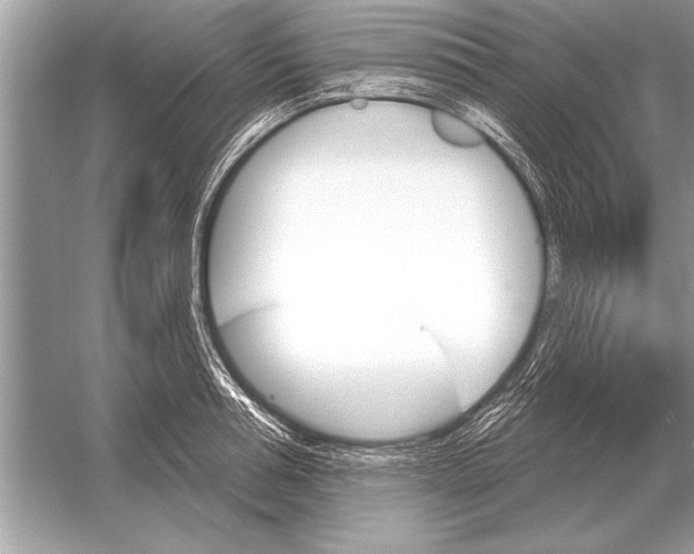 X0000051920994200507222130