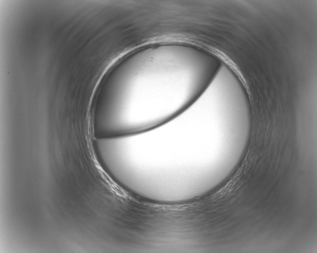 X0000051920996200507222130