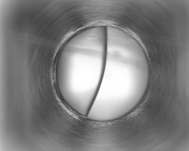 X0000051920997200507222129