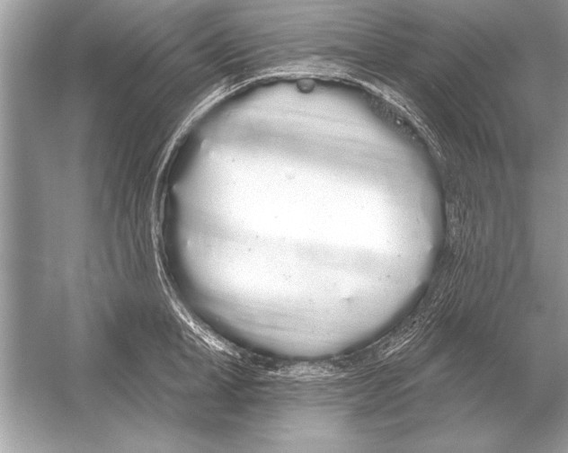 X0000051920998200507222129