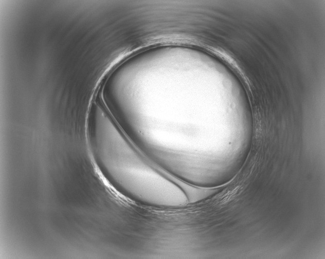 X0000051920999200507222129